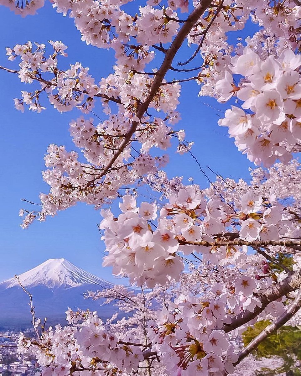 I love Nature tweet media
