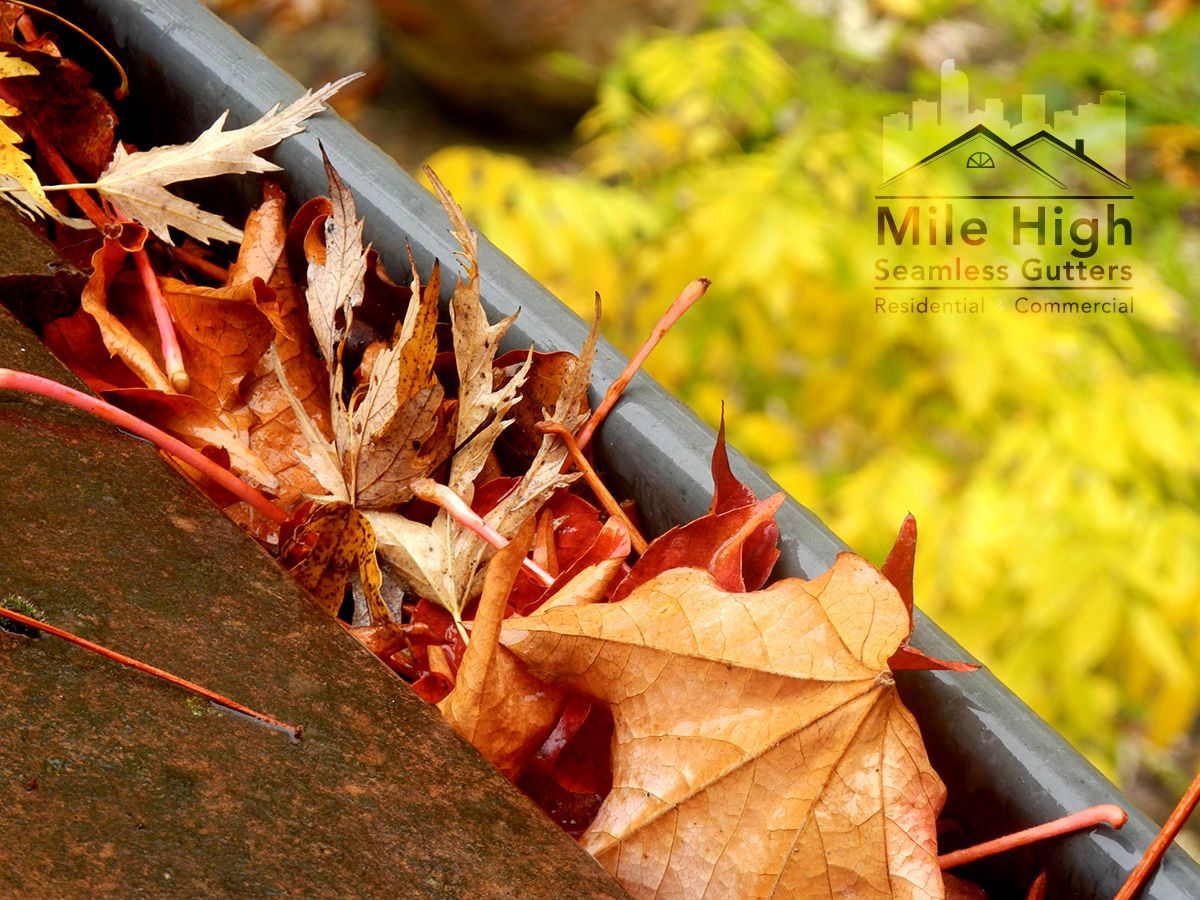 MHSGutter's tweet image. How are your gutters looking? Are they prepaired to handle our Colorado Spring Weather? Call us today to schedule your gutter cleaning!
 #coloradospring #coloradogutters #raingutters #protectyourhome #homeimprovement