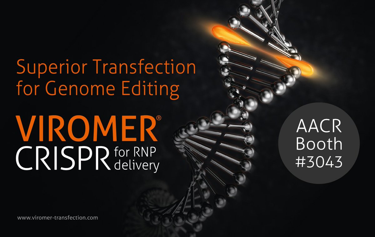 Lipocalyx's tweet photo. Come to booth 3043 at the AACR 2018 Meeting in Chicago to talk about the new posibilities for genome editing with our brand-new transfection reagent Viromer® CRISPR for RNP delivery! https://t.co/K9JtILbHPB #transfection #crispr #genomeediting #viromer #lipocalyx #AACR18 #cas9 https://t.co/Iw2ivMk0kC