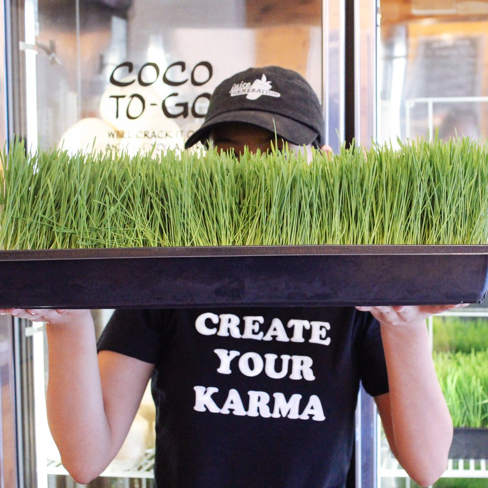 Juice Generation (JuiceGeneration) Twitter