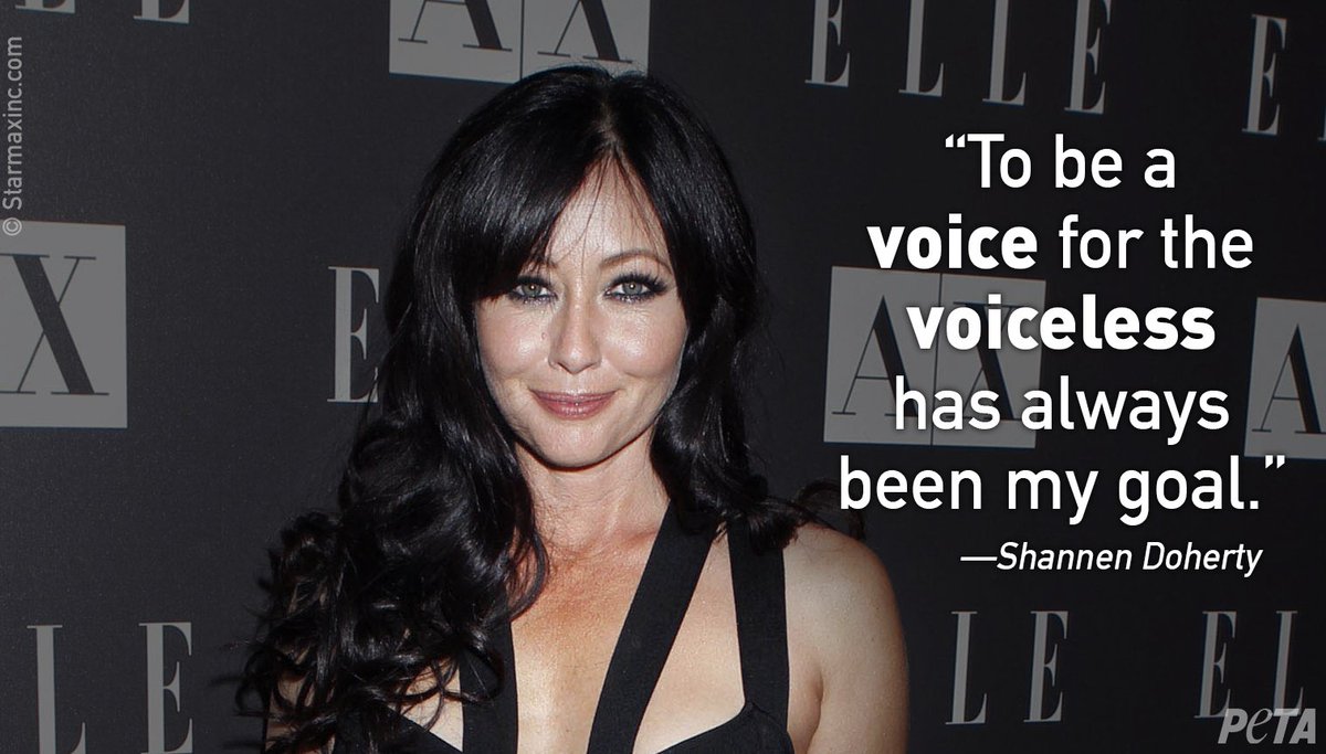Twitter Shannen Doherty nude photos 2019 Twitter Shannen Doherty nude photos 2019