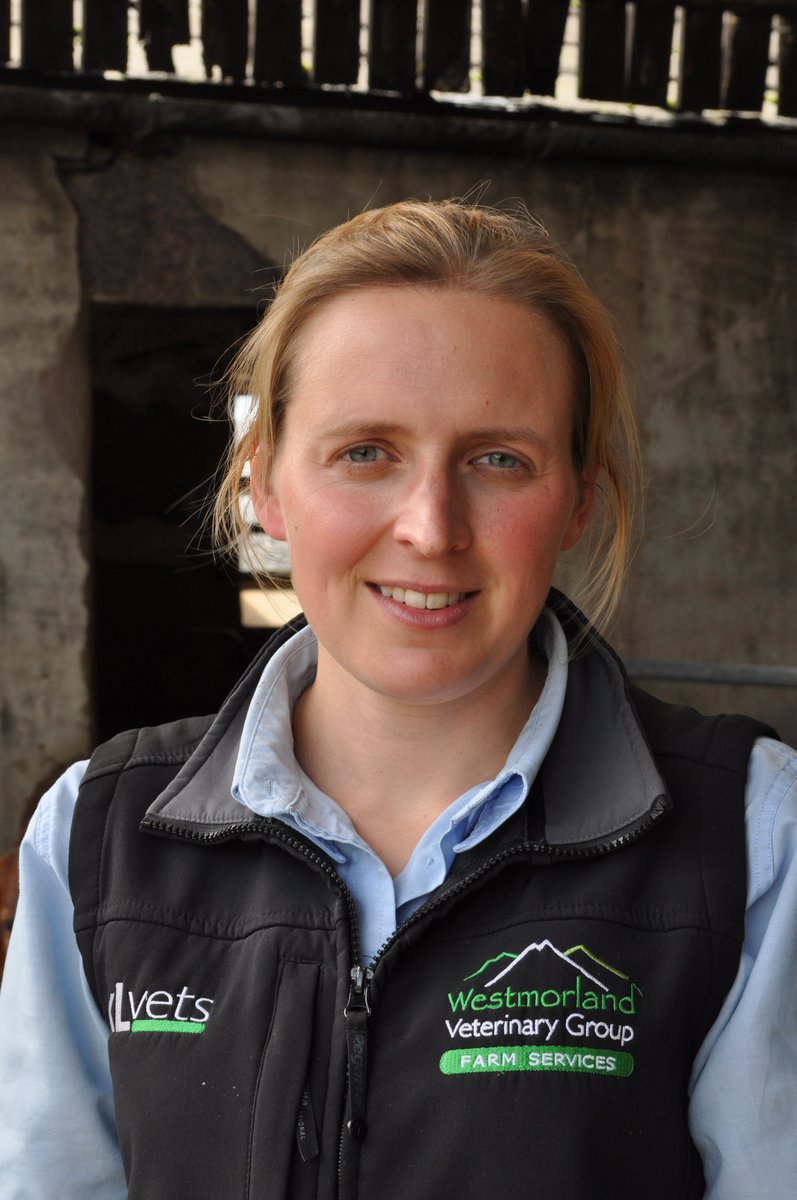Kirsty Ranson from <a href="/WVGFarmVets/">Westmorland FarmVets</a> writes about 'Best practice' in feeding milk to calves in the Spring edition of @XLVets Livestock Matters. You can read Kirsty's article here: editions.xlvets.co.uk/livestock-matt… #farm365 #teamdairy