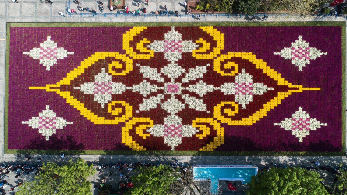 celik's tweet photo. A carpet made of tulips in #Istanbul - between Blue Mosque and Hagia Sophia - world’s largest https://t.co/f4A7ApiNZN