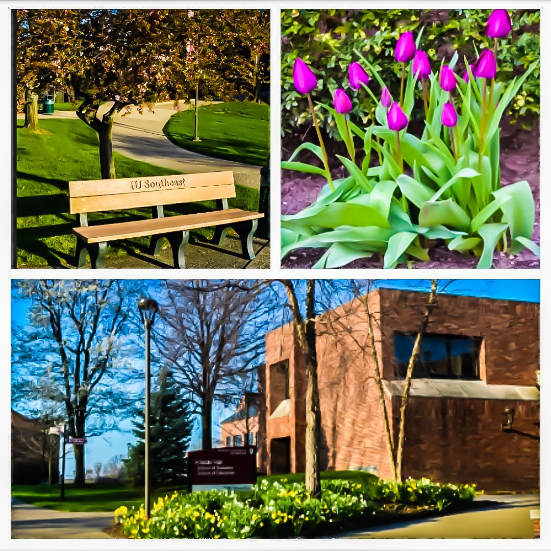 "Sunshine, on my shoulders, makes me happy!" #twentyminutesofspring #spring@IUSoutheast #sunshine #daffodils #tulips #IUSoutheast #IUS