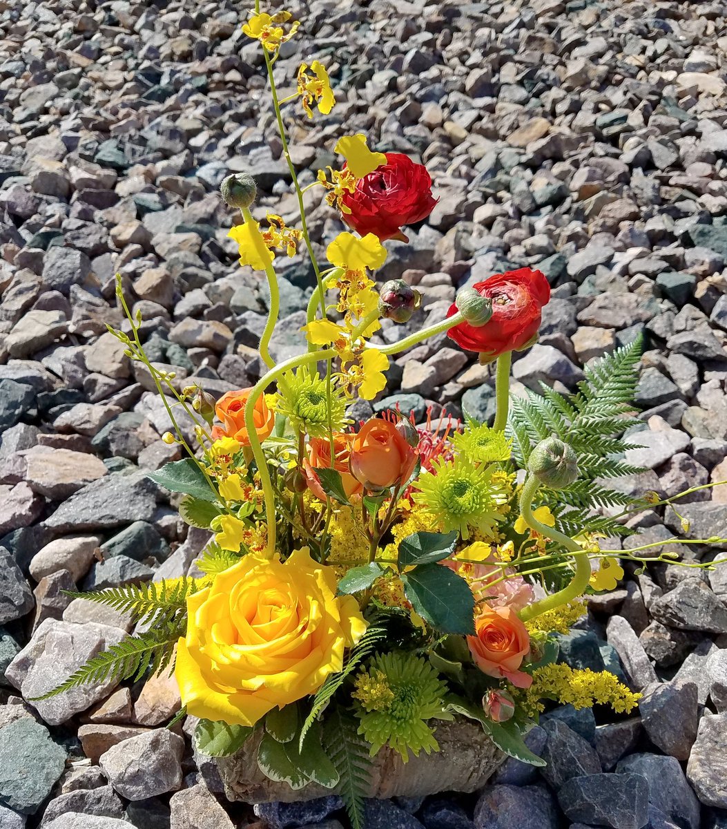 kikosflowers's tweet photo. Spring? Is that really you? #flower #flowershop #florist #localflorist #ranunculus #orchids #roses #shoplocal #parkridgeflorist https://t.co/DearqXVjqF