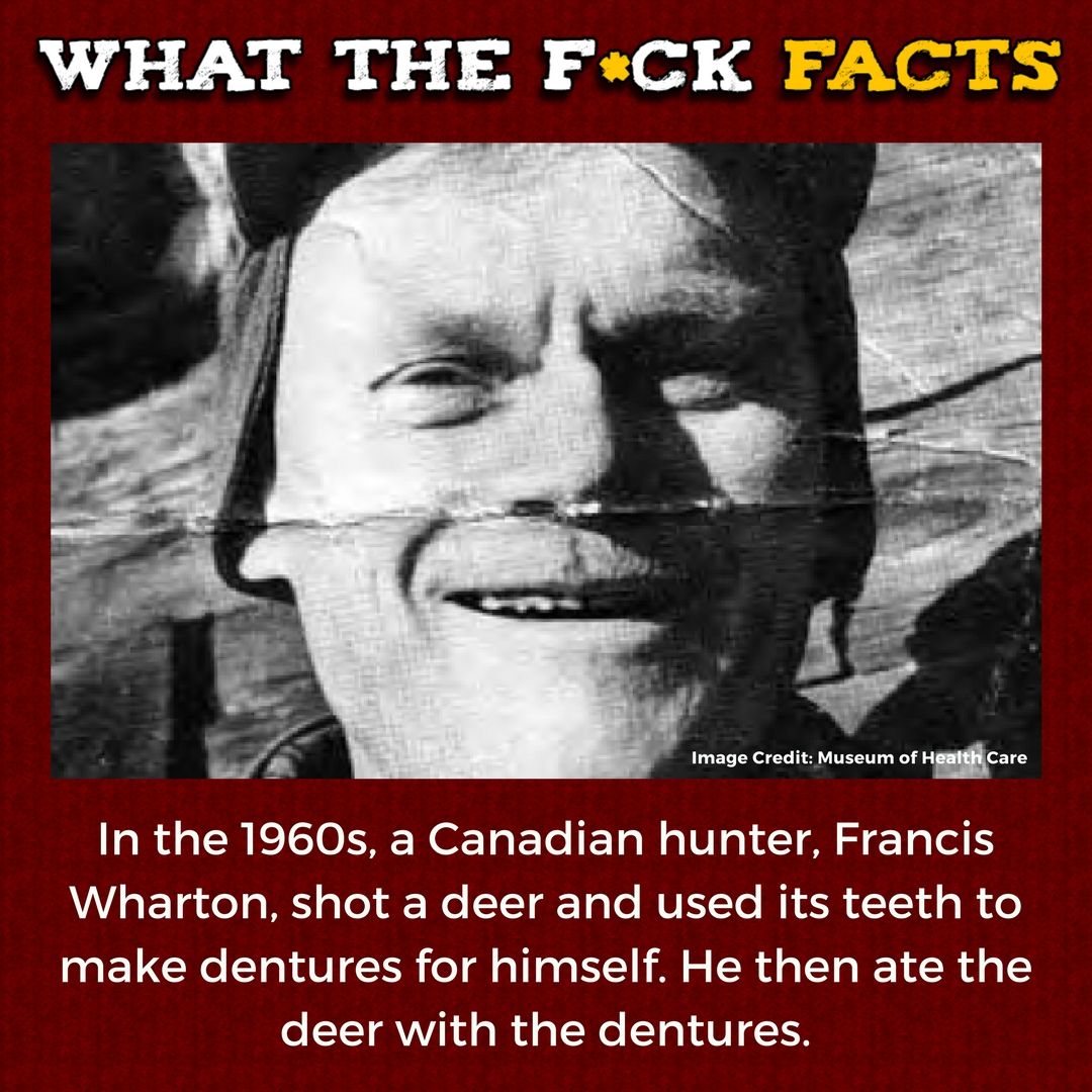 WhatTheFFacts's tweet image. 