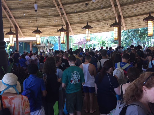 GoStudentTours's tweet image. Chantilly made it to Volcano Bay! #universalstudios #GoStudentTours