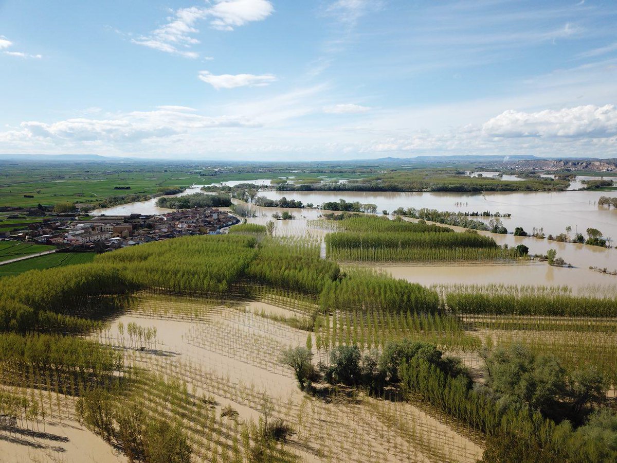 acg_drone's tweet photo. Así de impresionante pasa el #Ebro a su paso por Cañabas a vista de #dron. Se espera que el pico de la crecida llegue a #Zaragoza el próximo #domingo #crecidadelEbro https://t.co/e0A0mT6YeK