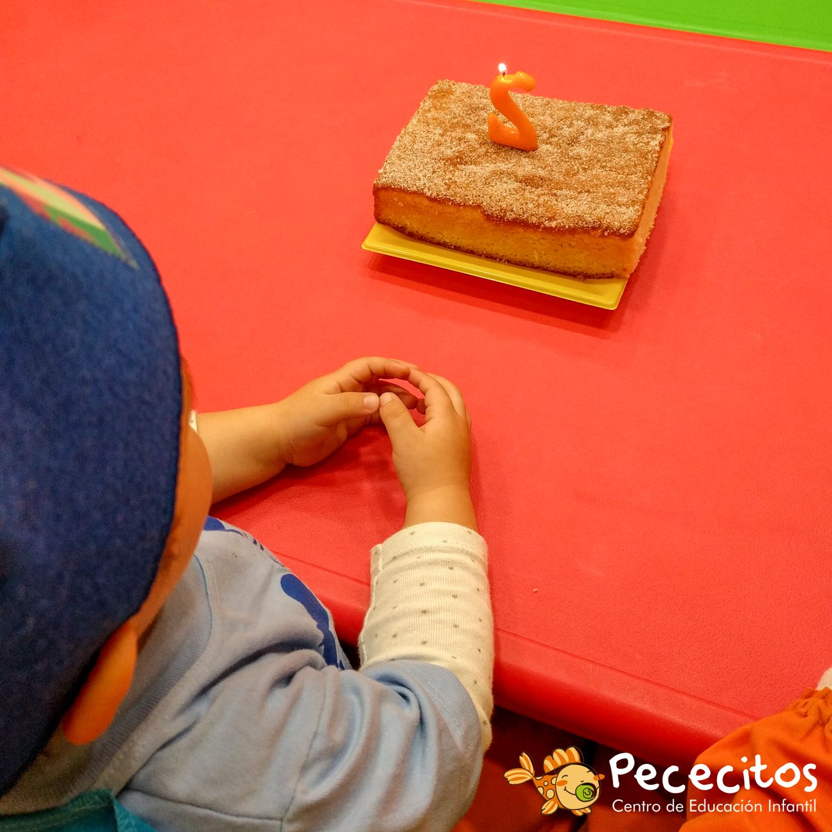 CEIPececitos's tweet photo. Seguimos con las celebraciones de cumpleaños en #CEIPececitos. ¡Nuestros pequeños #Pececitos se hacen mayores! Ya tenéis disponibles las fotos del cumple de #Alonso. ¡No os lo perdáis! Entrad ya en: https://t.co/xKPrkNFtzw #guarderías #sevilla #bermejales https://t.co/plujXX0FZR