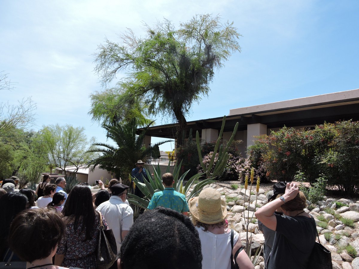 Westward_Look's tweet photo. Do you want to learn more about the desert plants that are scattered across property? Schedule a nature walk with Raymundo! He will take you around property showing you all of the sights, sounds, taste, and feel of desert life! To book one of these walks, please call 520-297-1151 https://t.co/dJrNs25geJ