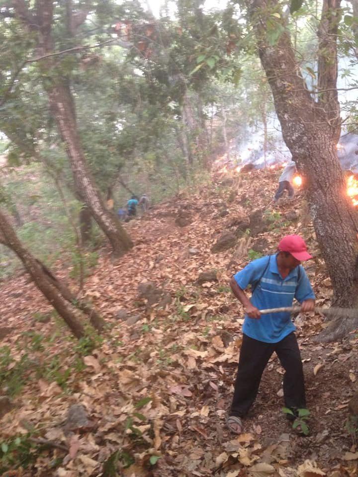 nvinoticiasoax's tweet photo. En #Tataltepec de Valdéz, en Juquila, los pobladores continúan en labora para intentar sofocar un incendio forestal que inició desde hace tres días; siguen en espera de ayuda por parte de las autoridades. #Oaxaca https://t.co/ywW66jKaho