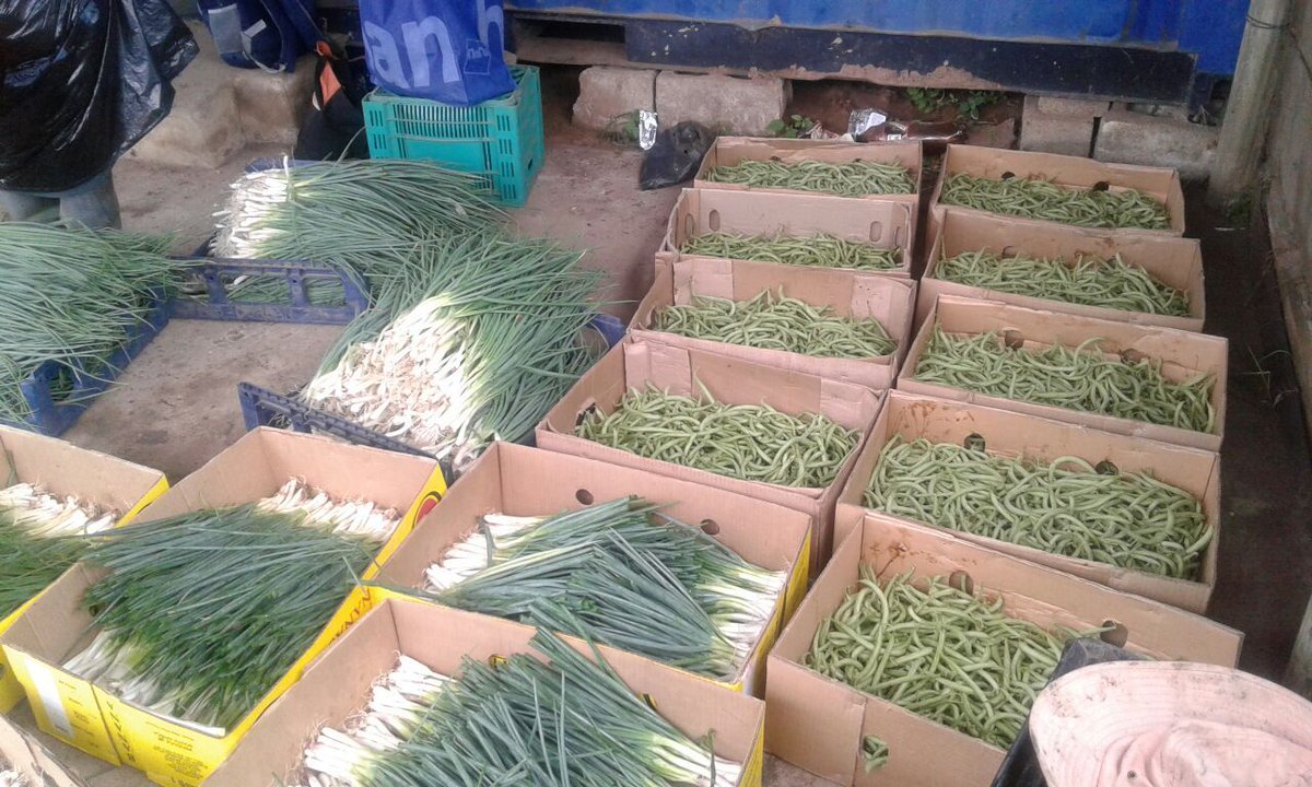 ftfa's tweet photo. Excellent quality spring onions and green beans, from Qalakabusha farm in Magabeni, KwaZulu-Natal, are in great demand at the bulk market. The first batch of produce was supplied on Friday & a request for a second delivery was requested for Saturday. #WhatDevelopmentLooksLike https://t.co/vqiRVAfaSZ