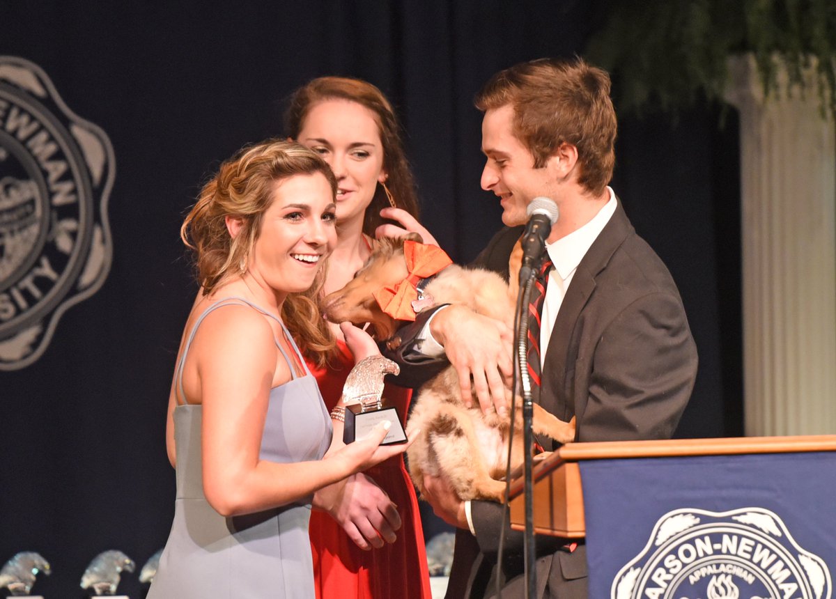 Carson-Newman Athletics tweet media