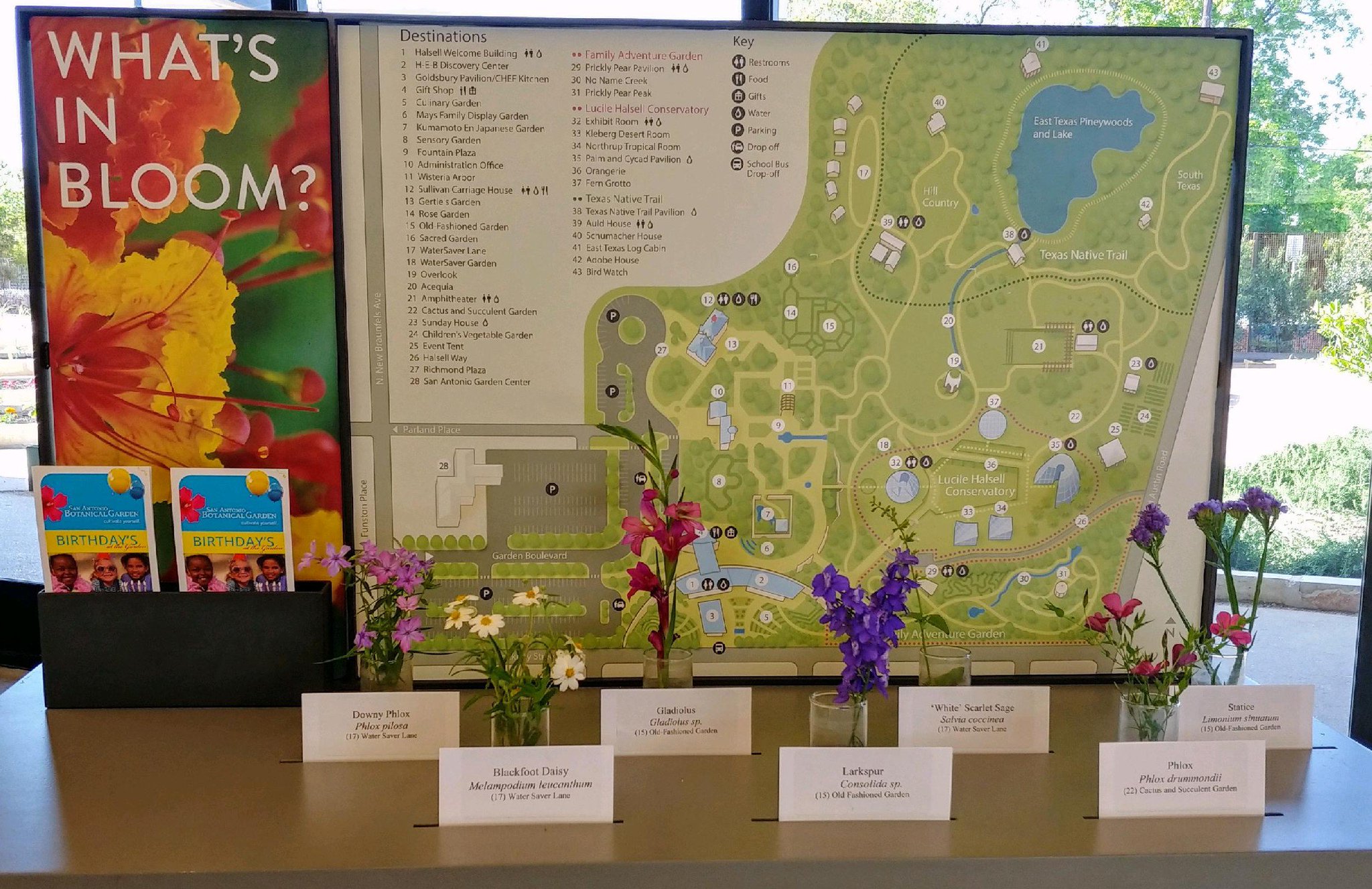 San Antonio Botanical Garden Want To Know What Is In Bloom Check Out Our Bloom Cart In Exploration Station Learn About Flowers In Blooms Their Scientific Names And Where To