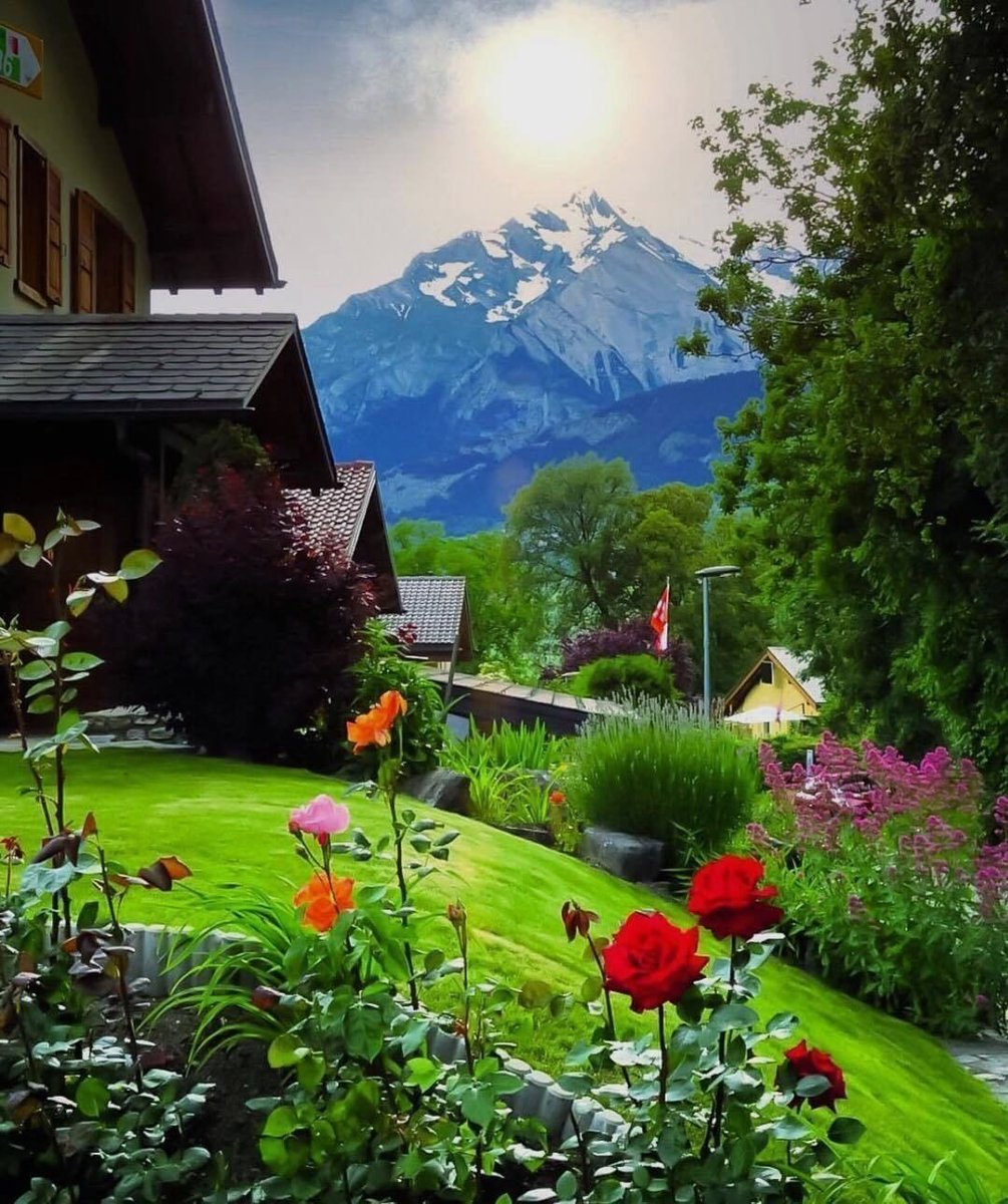 I love Nature tweet media