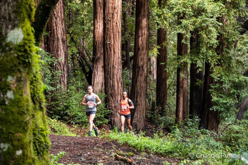 GoAthletics_SBT's tweet photo. Congrats to @MountainSyd on winning 1st Female and 5th Overall at the Woodside Crossover Half Marathon🥇🏃🏻‍♀️Great job Syd! #winning #trailrunning #california #running #runner #fit #liveyourpassion #redwoods #systembasedtraining #goathletics #blooddontlie https://t.co/Y8bkauCySr