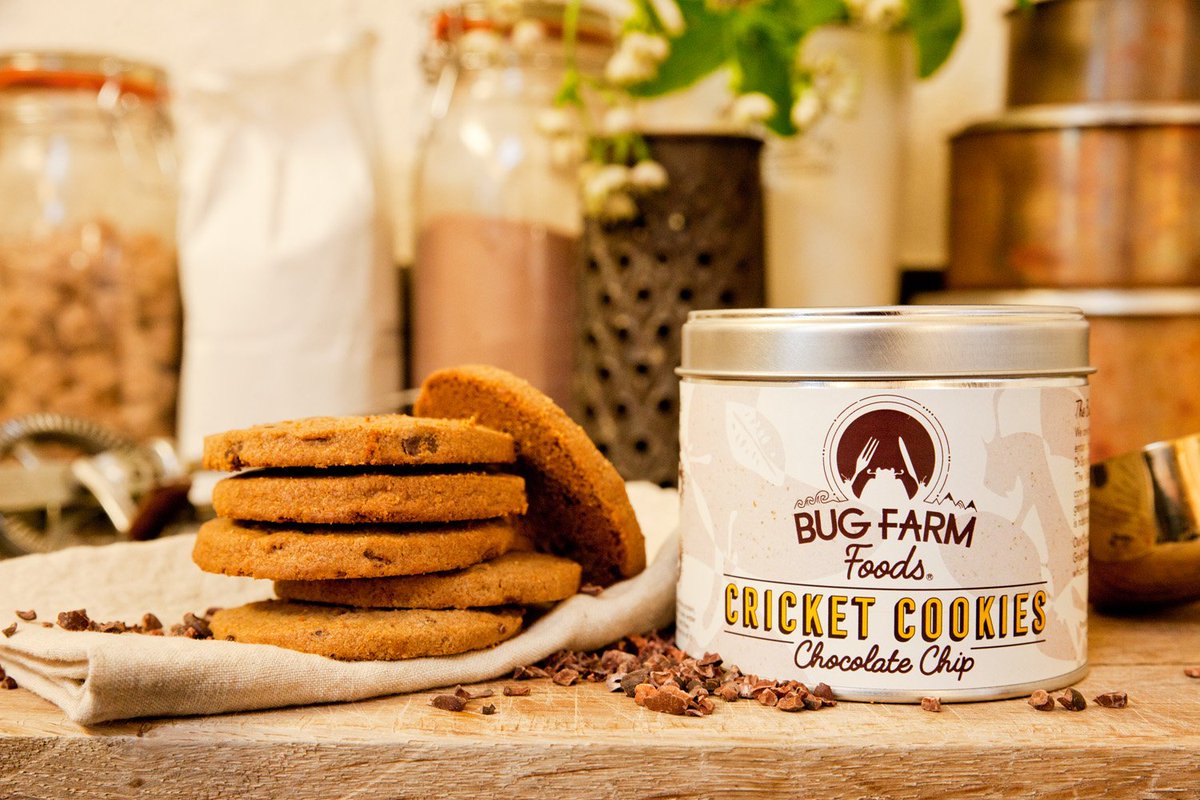 bugfarmfoods's tweet photo. Fancy trying the #foodofthefuture? Come and taste our #CricketCookies &amp; #insect ingredients at @FoodDrinkExpo. We're in the Cymru/Wales Food area @FoodInnovWales @FoodDrinkWales #entomophagy #edibleinsects #protein #foodie #food #cookbakecreate https://t.co/WppKzRTOLR