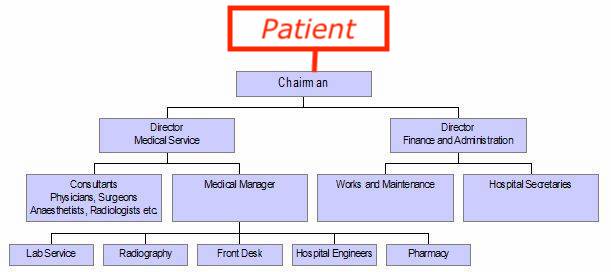 Hospital Laboratory Organizational Chart