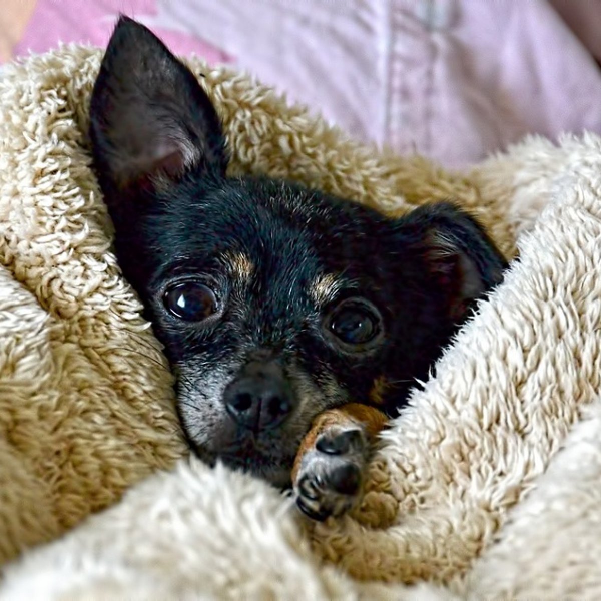 Carr's Cleaners (CarrsCleaners) Twitter