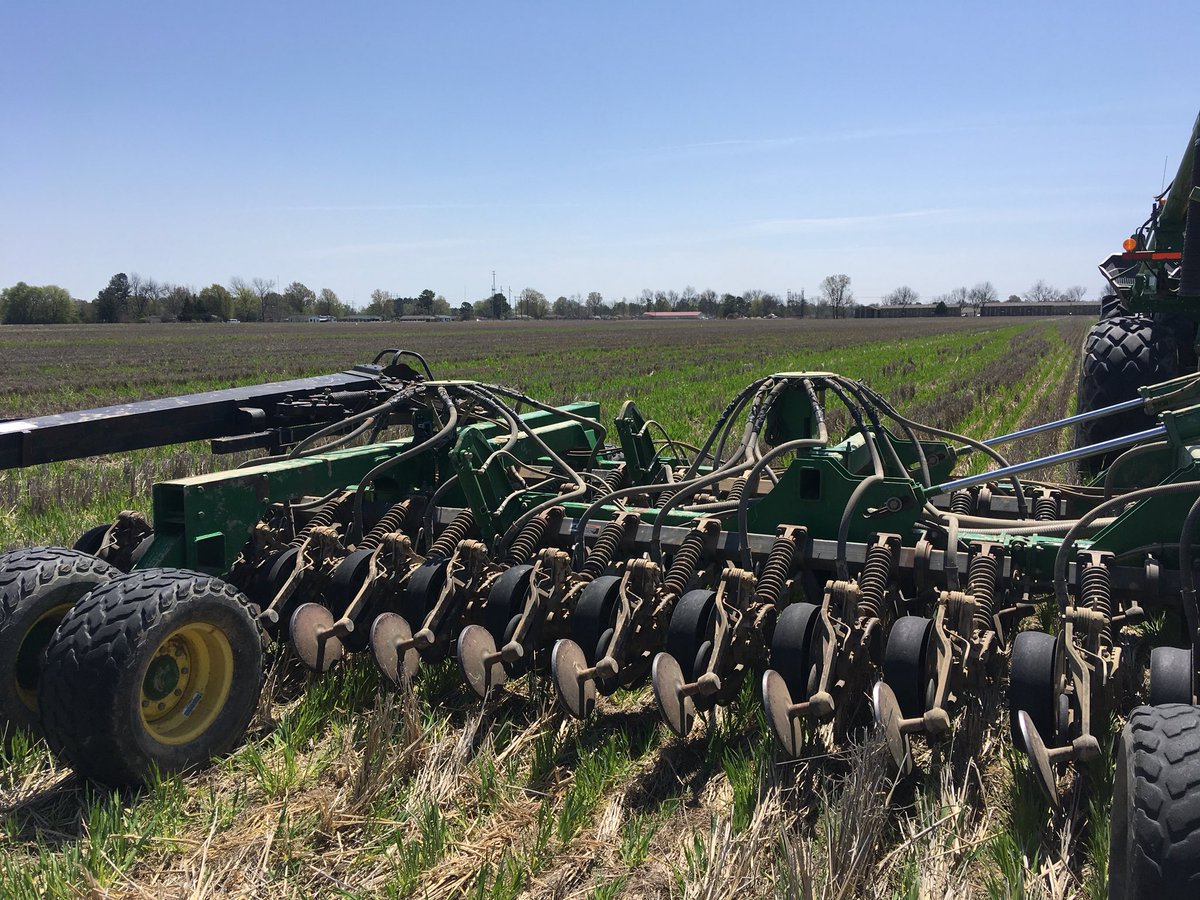 keith_scoggins's tweet photo. #plant18 Here we go #notill @RiceTec 753 following rice and cover crop barley sweet blue lupins https://t.co/WgGPYbRTco