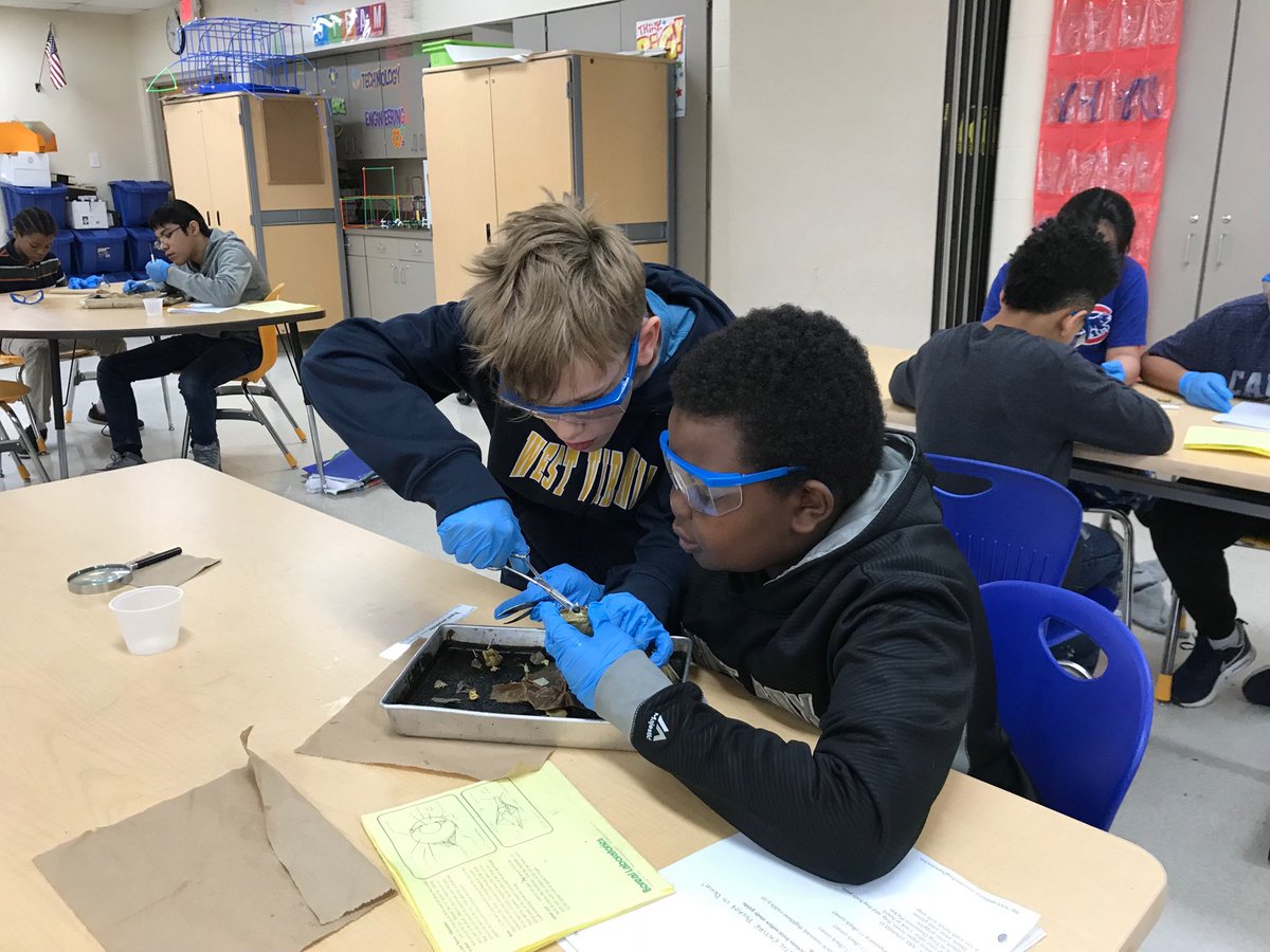 ScncTeacher2015's tweet photo. Frog dissection day with 6th grade science @GlenviewEMSD https://t.co/5n909nR4sU