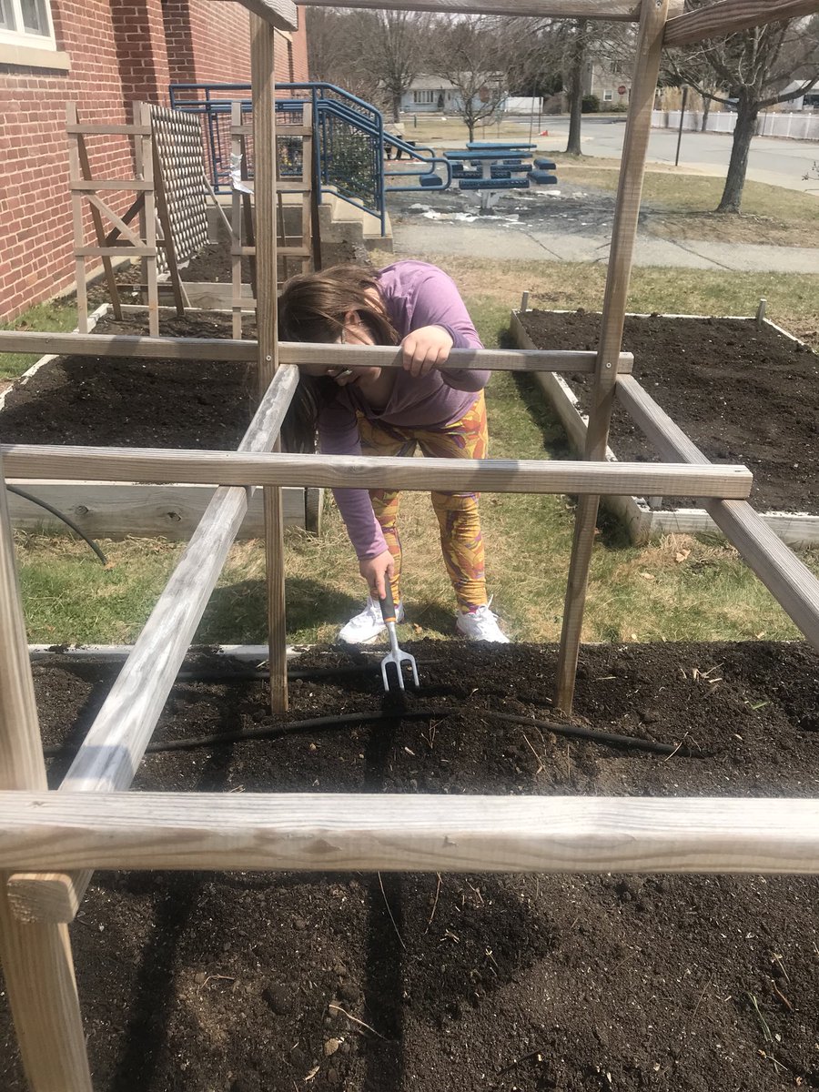 MsCarvalho7's tweet photo. Tending the school garden during science class today! https://t.co/PkH3cXrU2H