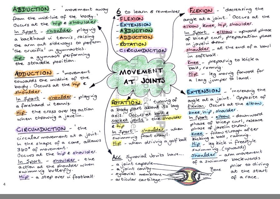 GCSEsimplified's tweet photo. Just in....literally. Proof copy is here. Will check through tonight and if it is ok will go to press tomorrow. Comments welcome please! #OCR #PE #GCSEPE #physed #pegeeks #pechat #UKpechat @PE4Learning https://t.co/rrZa7P86OY