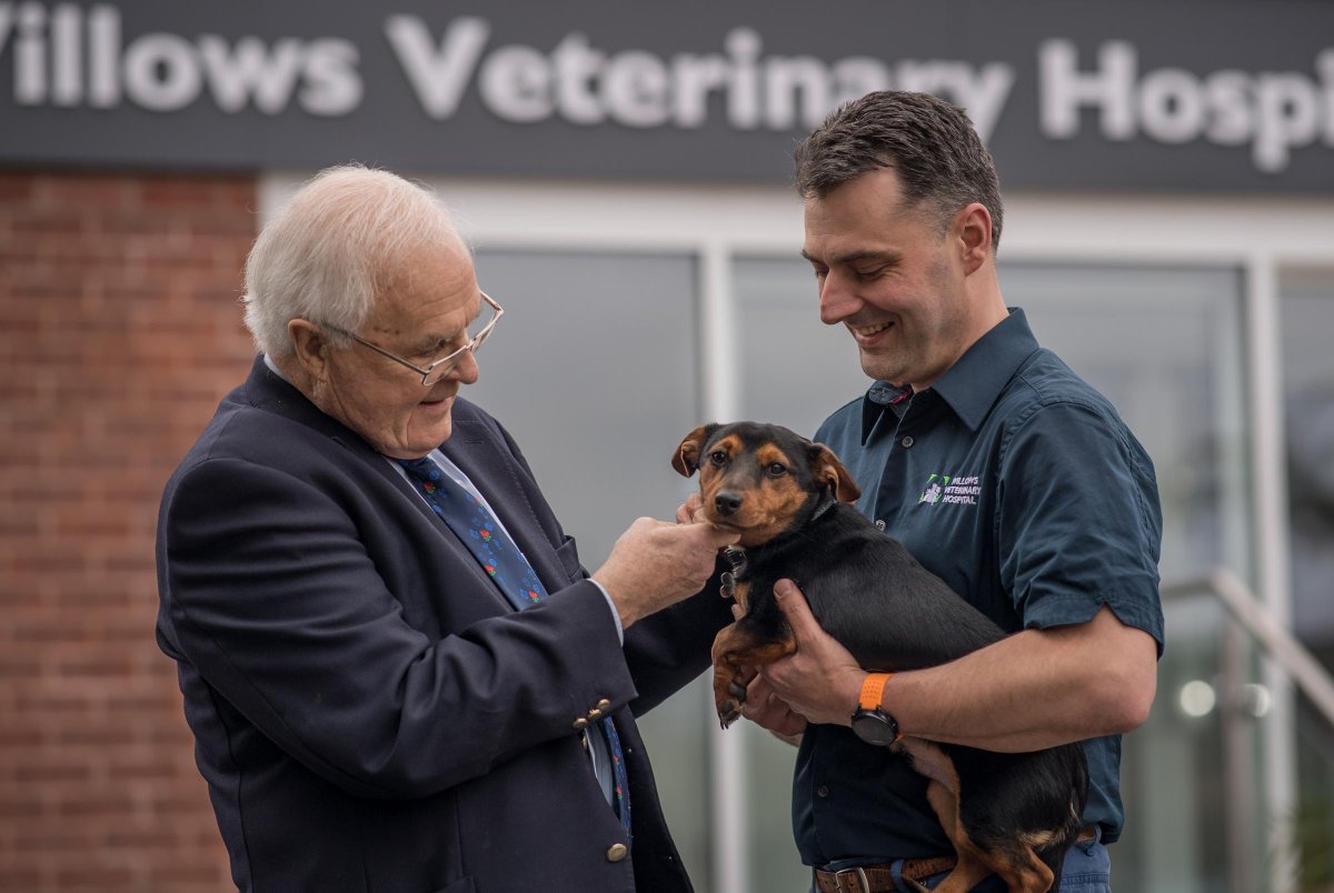 NorthwichNews's tweet photo. Retired veterinary pioneer publishes memoirs: A RETIRED vet who was a pioneer of pet medicine has published his memoirs. https://t.co/irHw6EB3ft https://t.co/HcnV71Vi01
