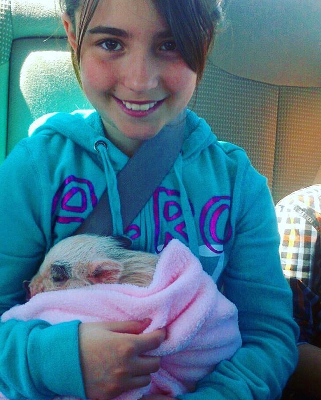 farmgirlfood's tweet photo. TBT to when we brought our baby, Scarlett Jo-Hamson home.
My other (human) baby was so little then too. She’ll murder me for posting this picture but she doesn’t follow me on social media so ha! 🤣
❤️👩🏻🍳🇨🇦 #chef #chefsofinstagram #pigsofinstagra… https://t.co/379OVPQKsg https://t.co/XM0M5ZSSh5