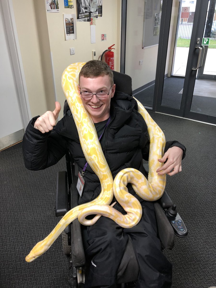 ryanwalkerKYM's tweet photo. Staff joining in with the animal fun @ Towerhill Youth Club!🐍

@KnowsleyYM https://t.co/LGsMAYEpol