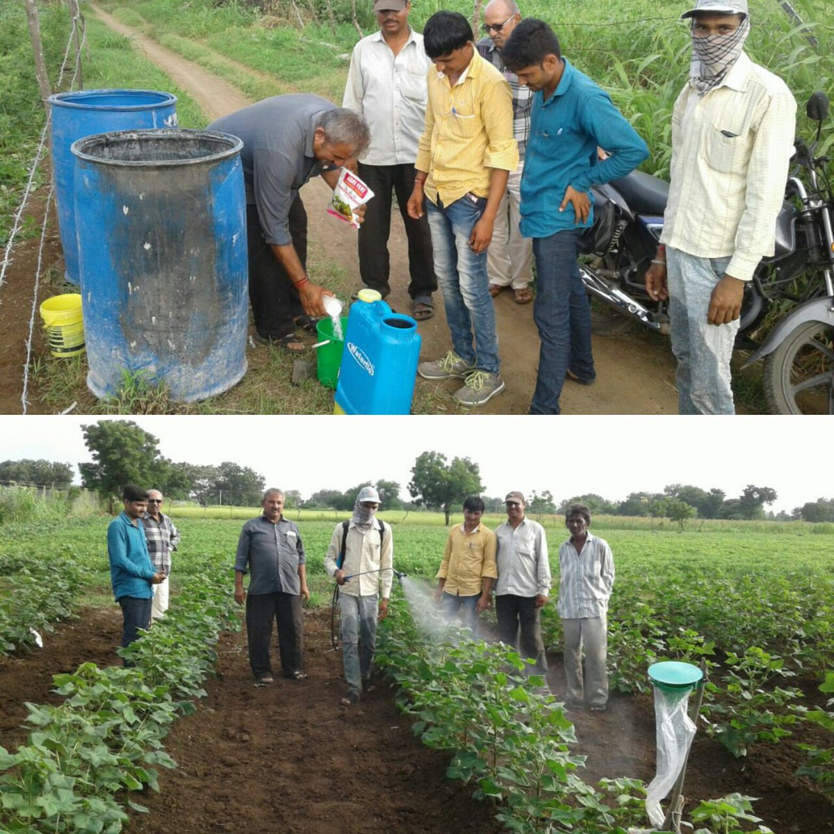 Divyang tweet media