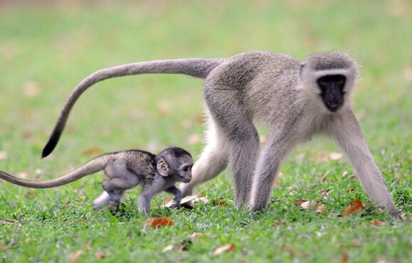 Kristian Harborg tweet media