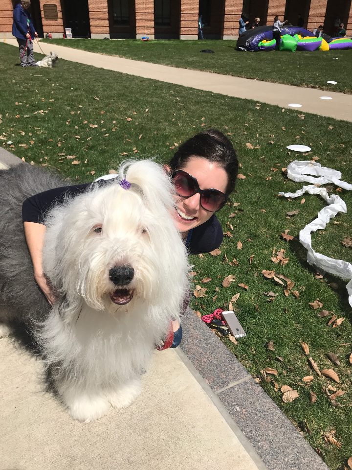 FCOBUndergrad's tweet image. Fisher Spring Festival with the beautiful weather today!