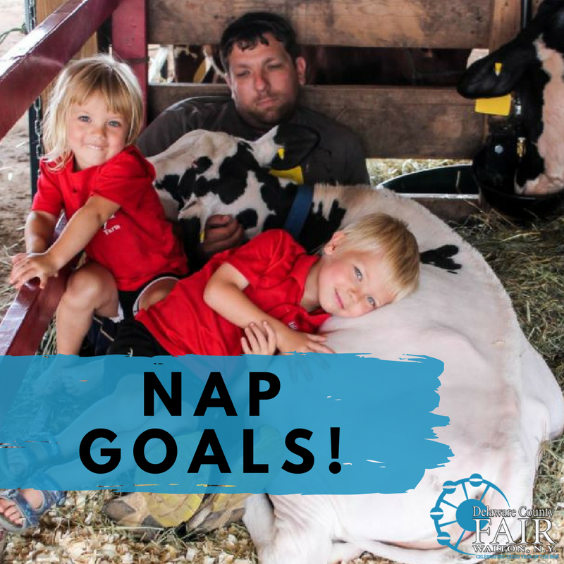 Delaware County Fair tweet media