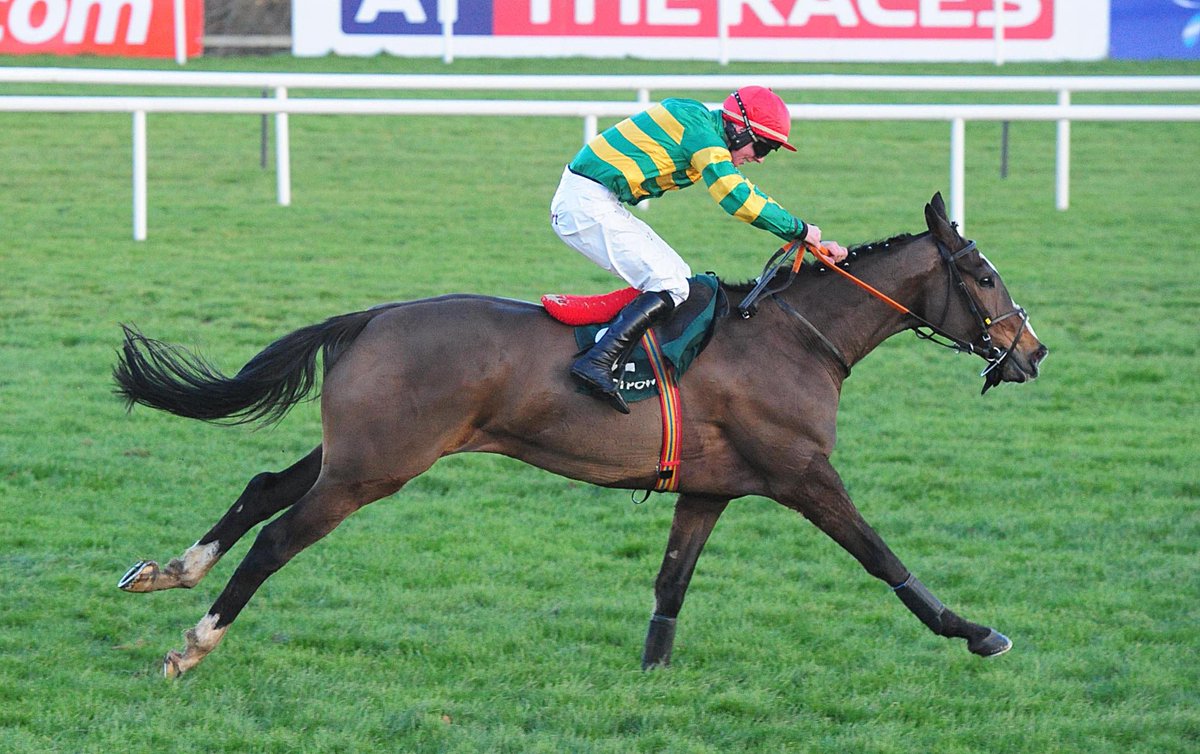 FreeBettingUK's tweet photo. Grand National Runners, Riders, Odds & Free Bets https://t.co/htlGDIMRPS
#TigerRoll #blaklion #TotalRecall #anibalefly #MinellaRocco #SeeYouAtMidnight #TheLastSamuri #GeneralPrinciple #GoldPresent #IJustKnow #UcelloConti #Vicente #RegalEncore #GasLineBoy #PleasantCompany https://t.co/amyJ6ST5Oi