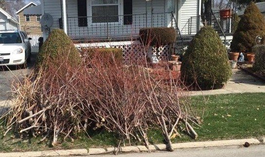 BRUSH PICK-UP
Brush pickup in the City of Harvard will be held in the months of May, July and October. Pickup begins on the second Monday of these months (May 14, July 9 and October 8) and will continue until all wards have been picked up.