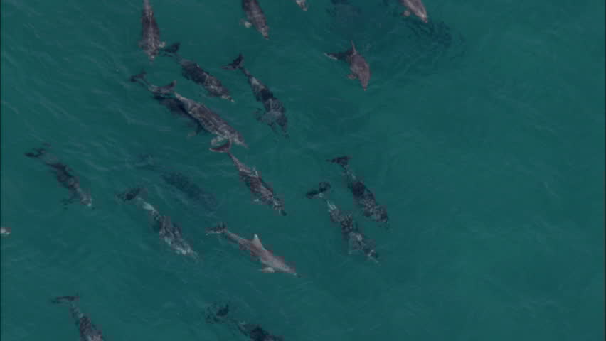 book better available light digital