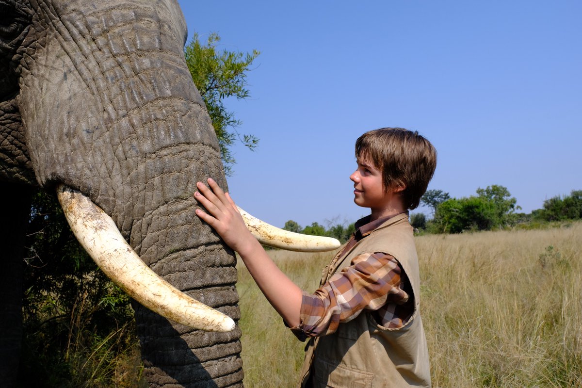 ElephantsIEF's tweet image. What are you doing on April 16th? Go see a heartwarming family film about the strong bonds of family, animals, and humans and elephants together! @Phoenix_Wilder : And The Great Elephant Adventure showing one night only, Monday April 16th. @ElizabethHurley
fathomevents.com/events/phoenix…