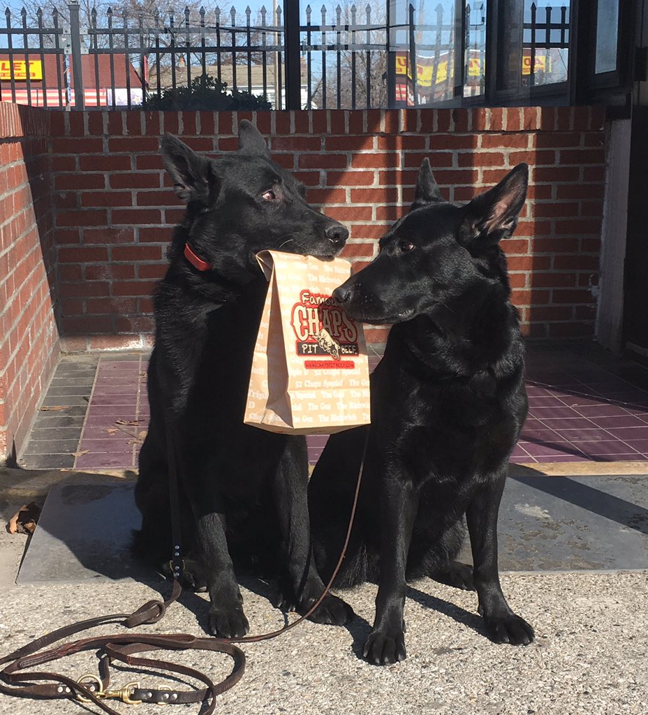 Leistunghund's tweet photo. #PitUpOrShutUp .@ChapsPitBeef
c'mon....@ChapsPitBeef help a girl out.. I'll beg if need be...๐๐ป๐๐ป https://t.co/gvxnMUYw0w