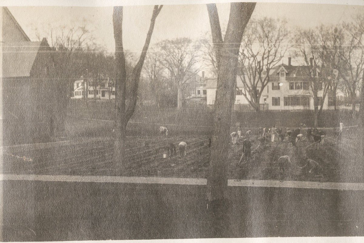 OhrstromLibrary's tweet photo. Photo taken May 15, 1917, shows SPS students planting potatoes on the Chapel lawn. The School planted food in all the open lots available to help support the war effort during World War I. #OhrstromLibrary #OhrstromLibraryDigitalArchives #TBThursday #ThrowbackThursday #potatoes https://t.co/hiIMuaErY0