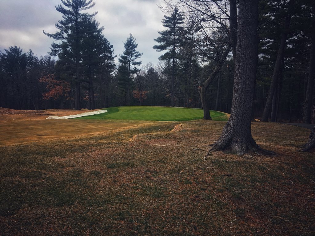KateLifke's tweet image. Dem’ covers tho!! 😍🤗 #GlowingGreenAF #EvergreenTurfCovers #TurfNerd
