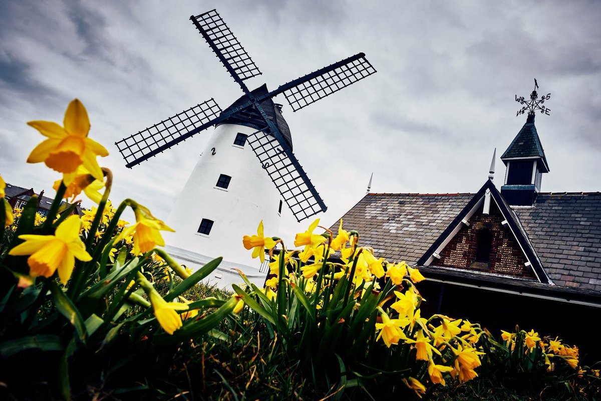 Queens Lytham tweet media