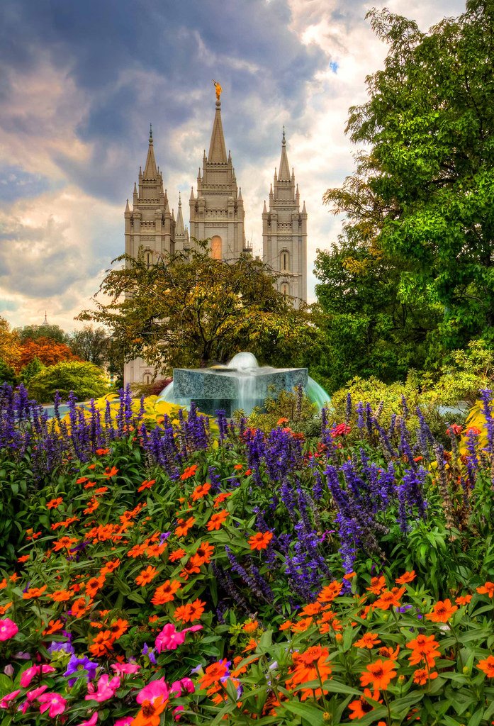 DocuMartSLC's tweet image. Springtime in Salt Lake, the flowers, the colors...Can&apos;t help but smile! Let Documart help Color Your World and Bring Out the Smiles! #PrintinColor #DocumartSaltLake #SaltLakePrinter #fullcolorprinter