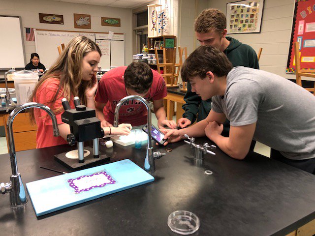 panthers_jchs's tweet photo. AP Biology students are completing a genetics cross using fruit flies. They are investigating how different traits are passed on @GSTANews @NEGARESAScience #EngagedLearning #CreativeTeaching #Science #ProudtobeJC https://t.co/IK2W3Inush