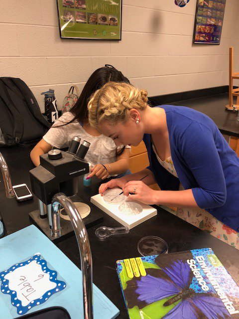 panthers_jchs's tweet photo. AP Biology students are completing a genetics cross using fruit flies. They are investigating how different traits are passed on @GSTANews @NEGARESAScience #EngagedLearning #CreativeTeaching #Science #ProudtobeJC https://t.co/IK2W3Inush
