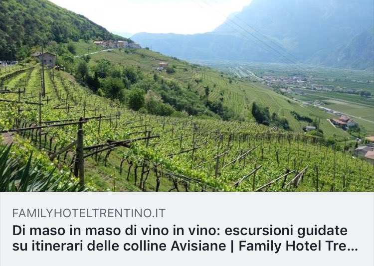 FamilyTrentino's tweet image. Per chi volesse partecipare alle escursioni guidate, ecco il link ed il dettaglio delle attività proposte a #dimasoinvino #trentinowinefest #familytrentino 
Vi aspettiamo! 
bit.ly/escursioni_gui…