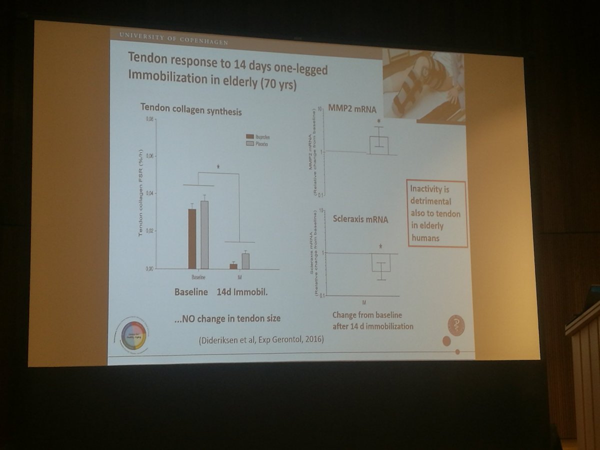 pdkirwan's tweet photo. More evidence tendons do not do well with immobilisation #tendonuk https://t.co/Q6d2fxTvwY