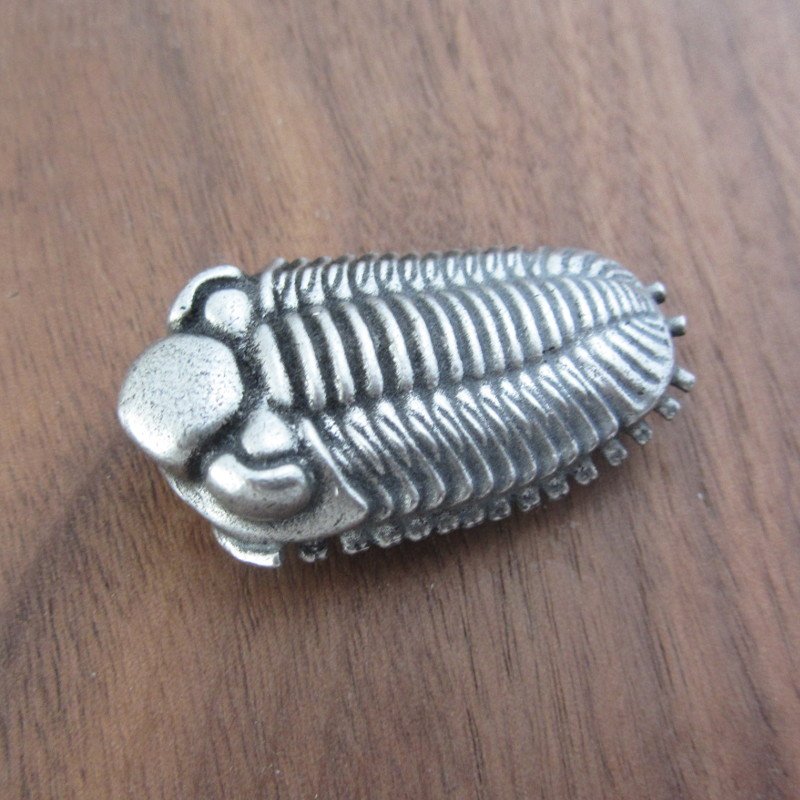 tlrcustom's tweet photo. Be the envy of your #geoeoscience peers! New #trilobite lapel pin https://t.co/vgO4QmD3Fb or https://t.co/dkf4XcGZlX plus new photos of trilobite buckle https://t.co/GQoO8hTnvY #taylorcustom #paleontology #Fossil https://t.co/c1jWOD3POY