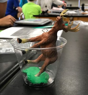 GIS_Cromwell's tweet photo. In #5WheresWater, students build a model of how Earth's systems interact (biosphere, hydrosphere, atmosphere, and geosphere). Sometimes you have to make sure the moose will fit in the cup. The weird world of a science coordinator. #SupplyProblems @OfficialNGSS @nsta https://t.co/rL6wmohi6k