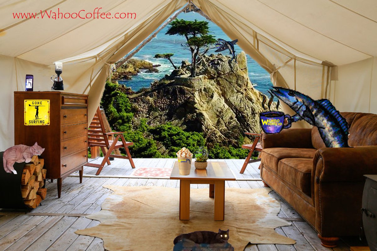 Wahoo Coffee tweet media